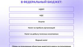 Что такое налоги: объяснение для 3 класса в Спортландия