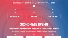ИП: что нужно знать о налогах в Спортландия