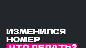 Как изменить номер телефона на Госуслугах через Сбербанк в Спортландия