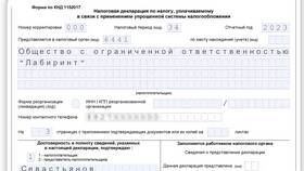 Как подавать налоговую декларацию ИП на УСН в Спортландия