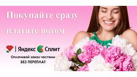 Как происходит оплата через Яндекс Сплит в Спортландия