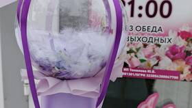 Номер 4443773342: доставка цветов в Спортландия