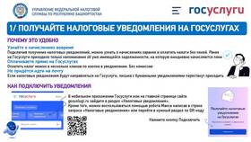 Почему на Госуслугах приходит 2-НДФЛ в Спортландия