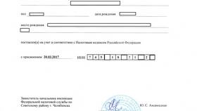 Почему в поликлинике требуют СНИЛС в Спортландия