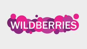 Работа с Wildberries в качестве перевозчика в Спортландия