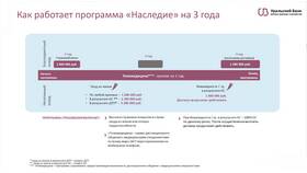 Страховой год: что это в Спортландия