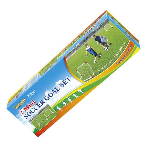 Ворота игровые DFC Mini Soccer Set 2 GOAL219A в Спортландия