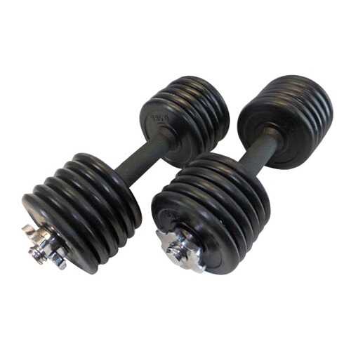 Пара гантелей MB Barbell 2 шт. по 8 кг в Спортландия